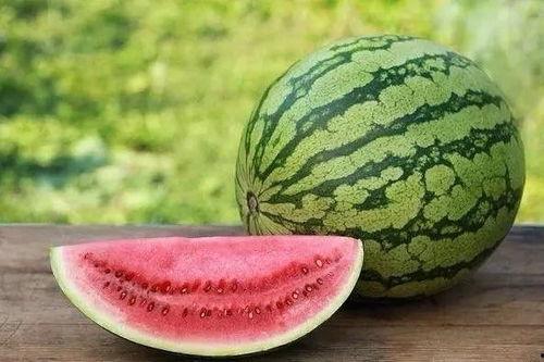 免费吃瓜怎么找,揭秘如何轻松获取免费瓜果盛宴  第2张