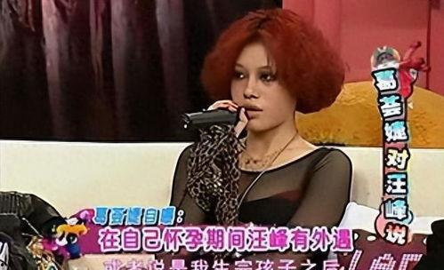 章子怡离婚爆料真相视频,揭秘背后惊人内幕  第2张